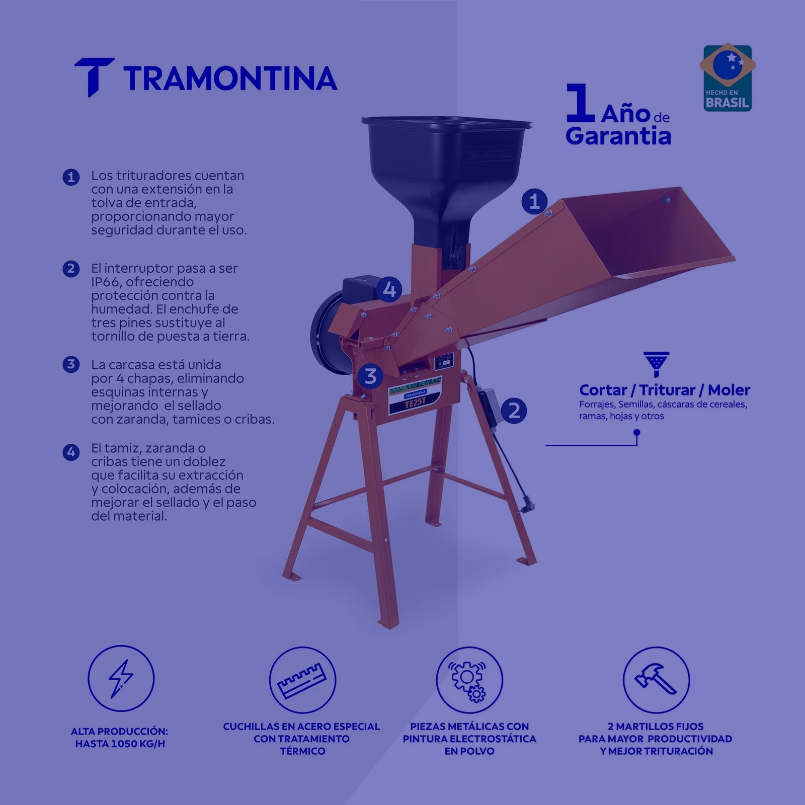 Secundaria