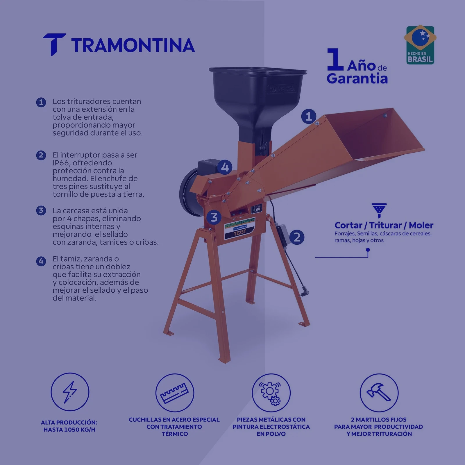 Secundaria