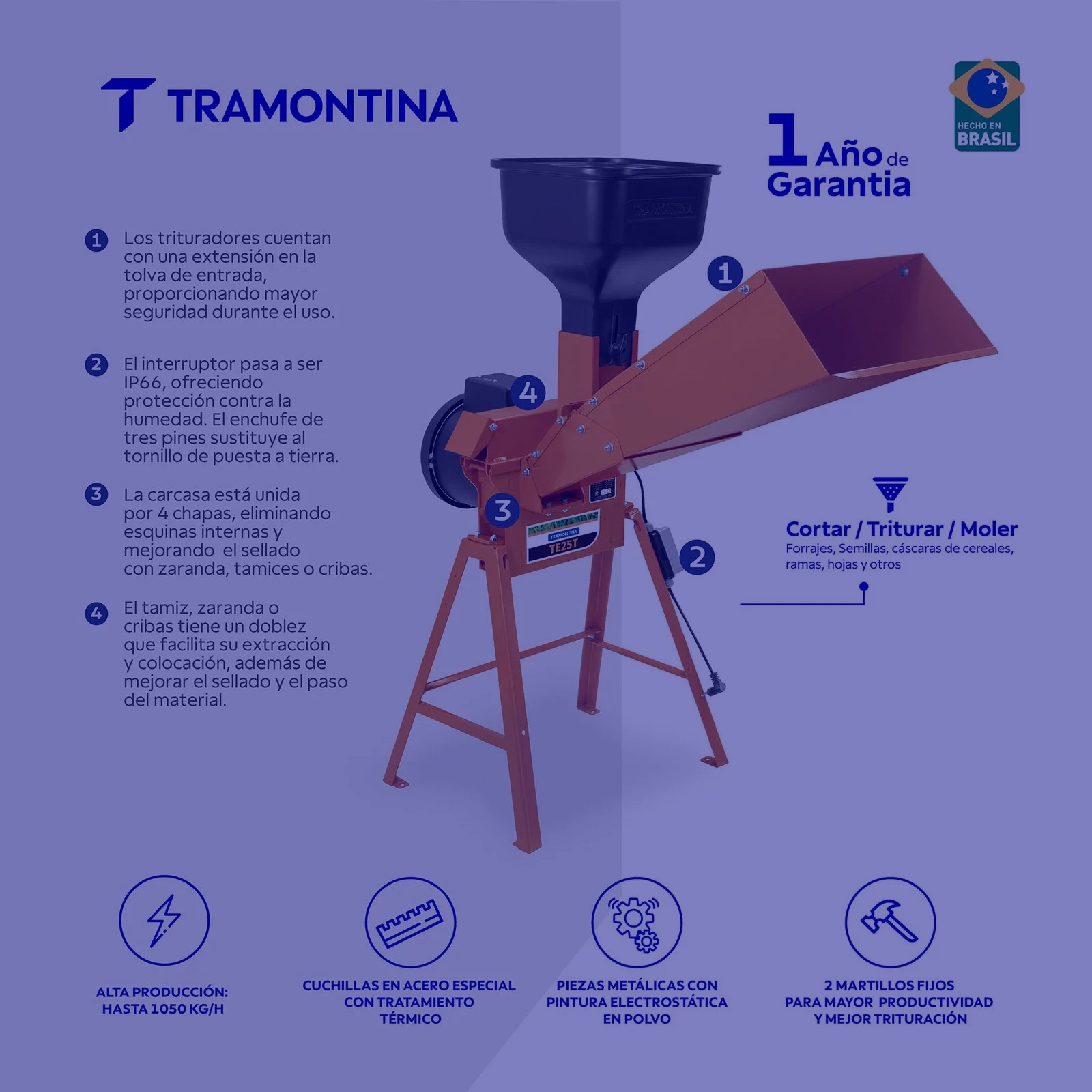 Secundaria