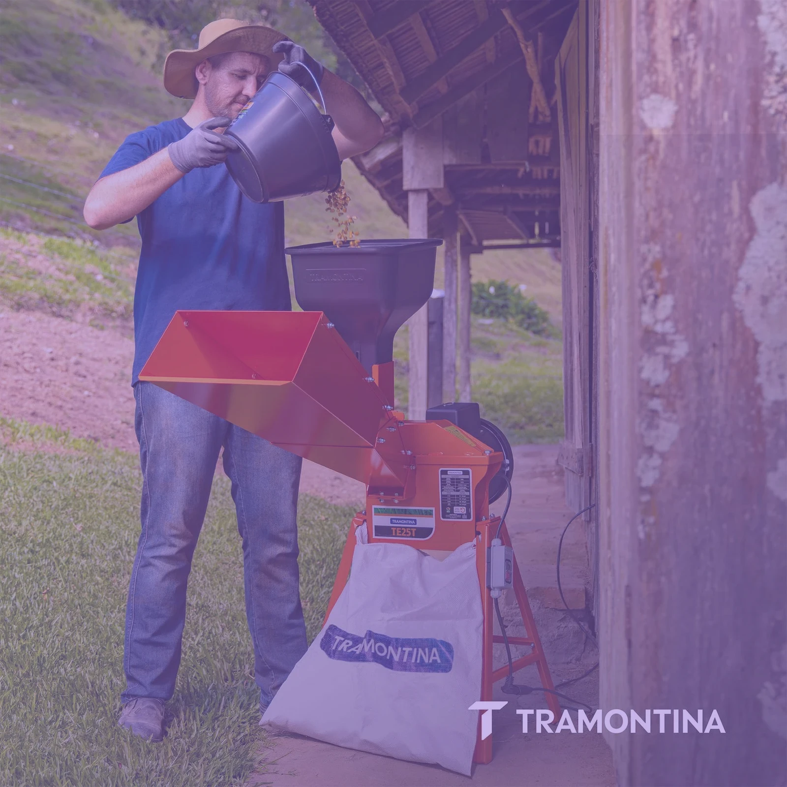 Secundaria