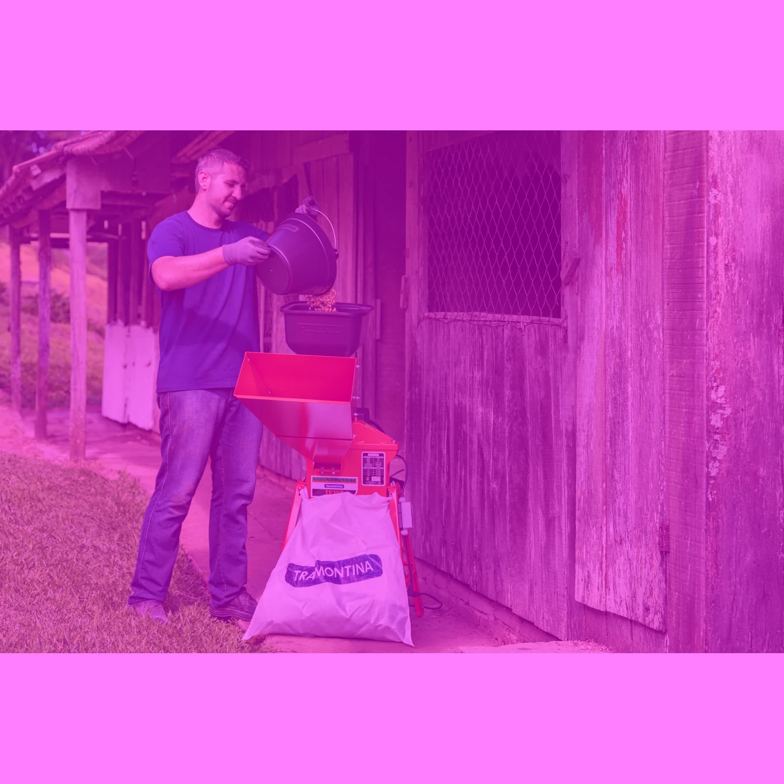 Secundaria