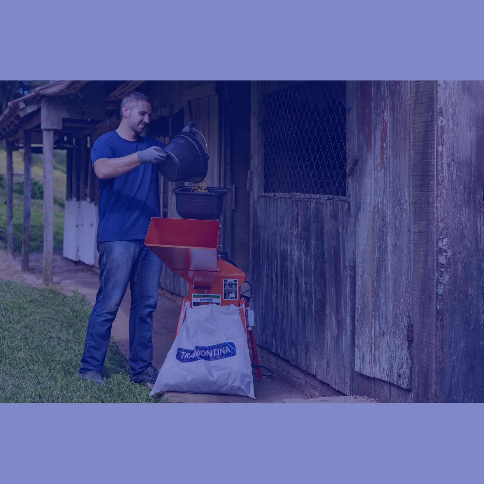 Secundaria