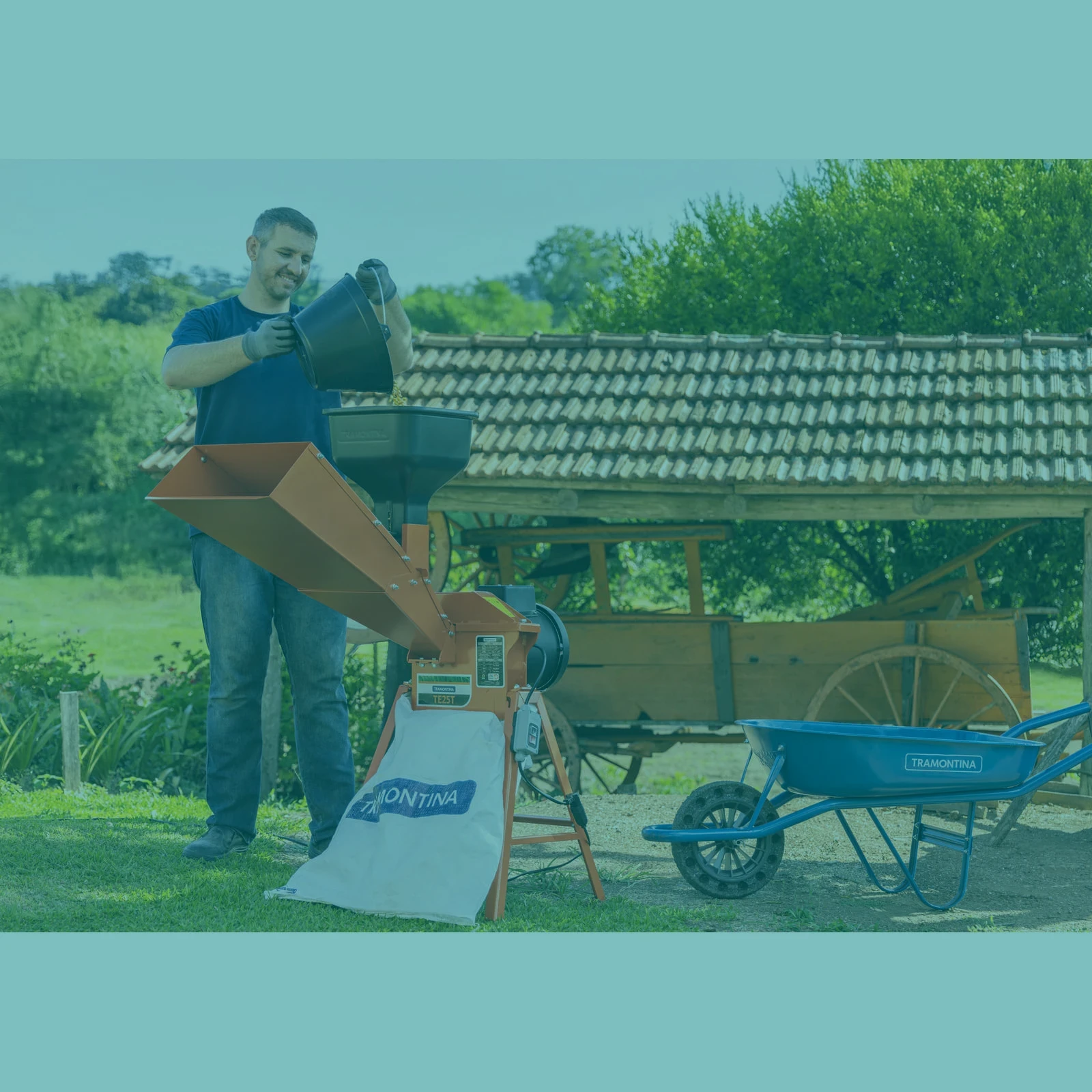 Secundaria
