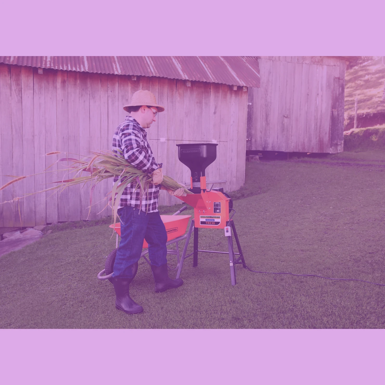 Secundaria